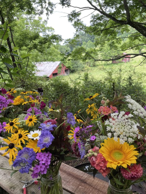 SOLD OUT Grow Your Own Cut Flower Garden  - Thurs April 10, 5:30-7:30 pm