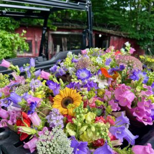 Spring 6-Week CSA April 29-June 2