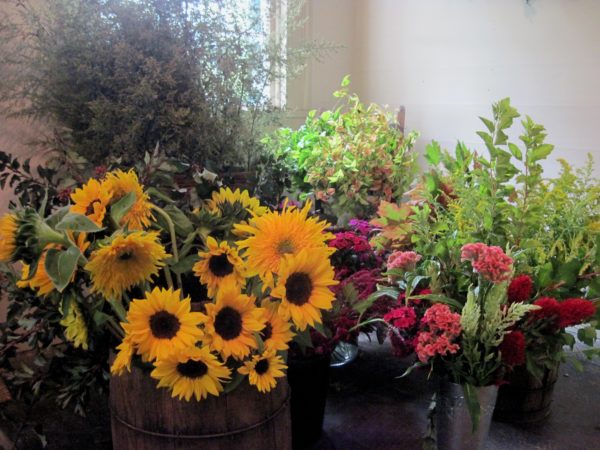 SOLD OUT Grow Your Own Cut Flower Garden  - Tuesday, April 8th, 5:30-7:30 pm