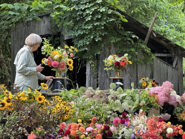 SOLD OUT! Summer Sunshine Workshop - June 17, 6:30-8:30 pm. - Image 4