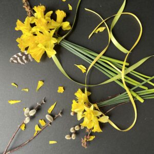 Nature and Flat Lay Photography Workshop, TBA