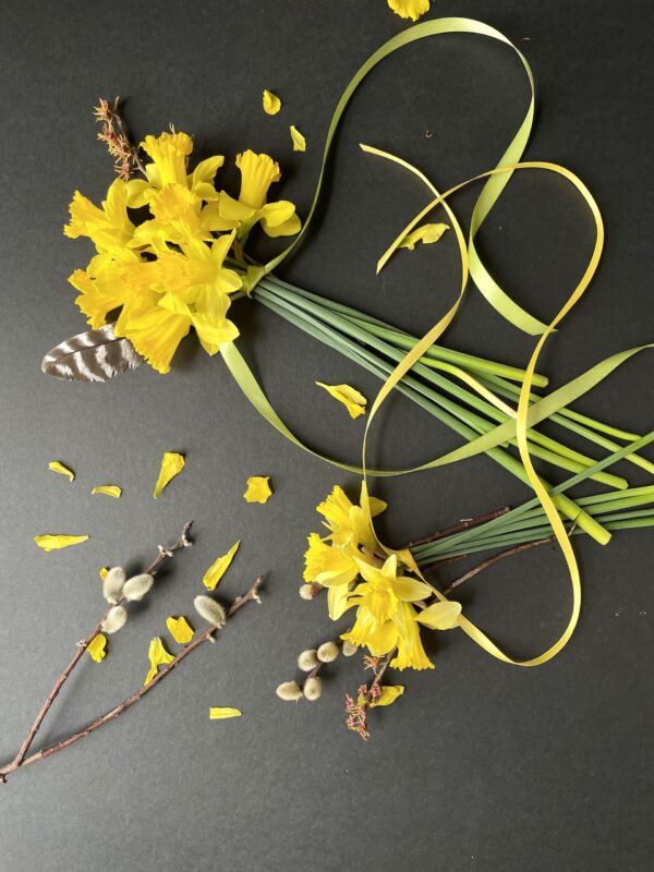Nature and Flat Lay Photography Workshop, TBA
