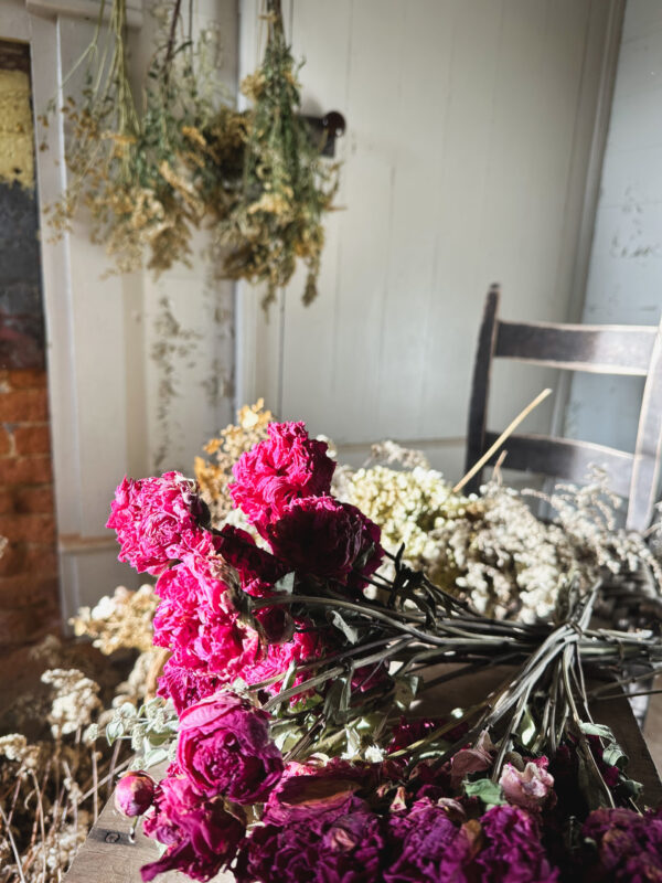 Celebrate Winter Dried Workshop, Thurs., Jan. 30, 2025 6-8 pm - Image 9