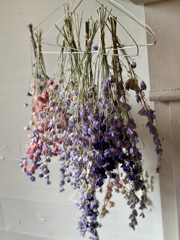 Celebrate Winter Dried Workshop, Thurs., Jan. 30, 2025 6-8 pm - Image 12