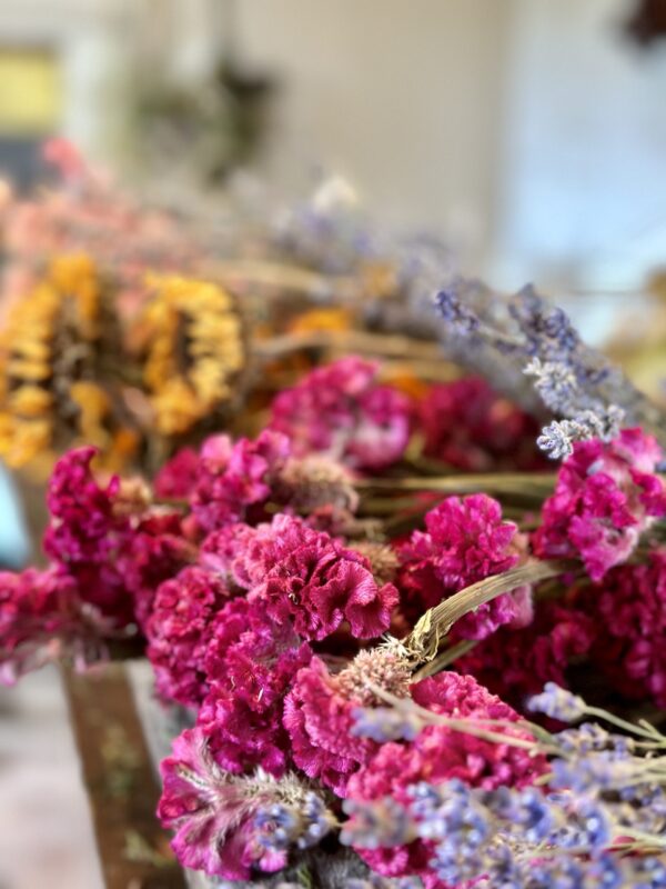 Celebrate Winter Dried Workshop, Thurs., Jan. 30, 2025 6-8 pm - Image 2
