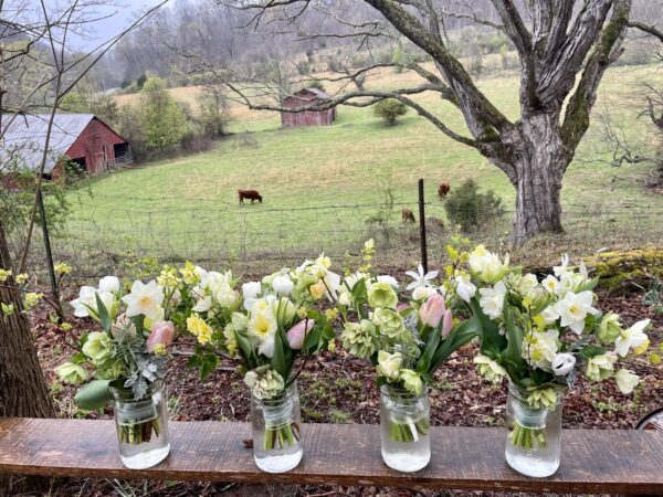SOLD OUT! Early Spring CSA - 6 wks. Begins March 11 (or 18th) - Image 7