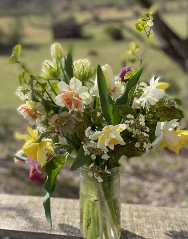 SOLD OUT! Early Spring CSA - 6 wks. Begins March 11 (or 18th) - Image 8