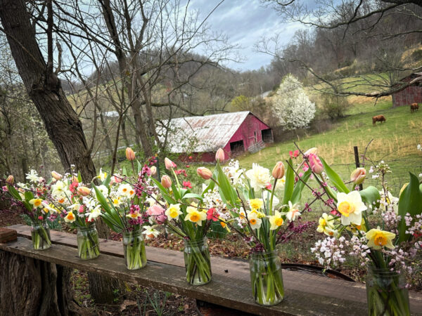 SOLD OUT! Early Spring CSA - 6 wks. Begins March 11 (or 18th) - Image 10