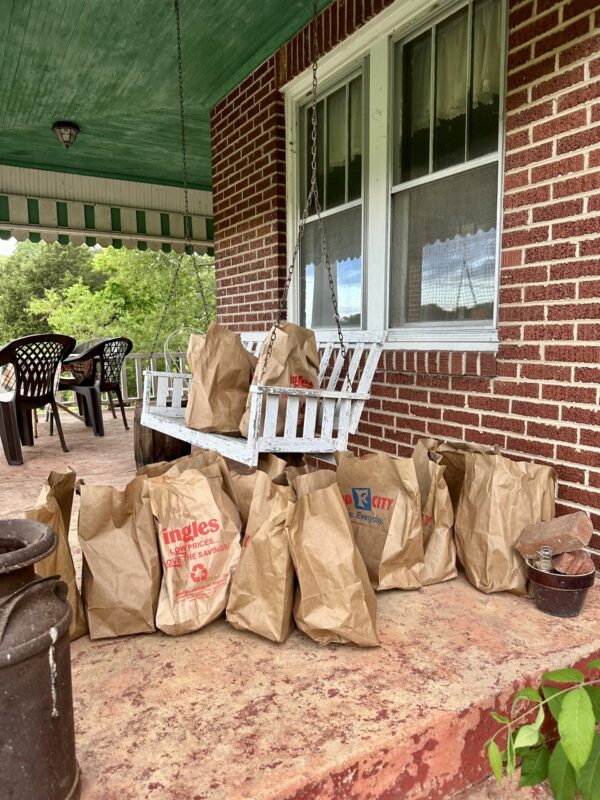 Dahlia Tuber Grab Bag Sale - Image 5